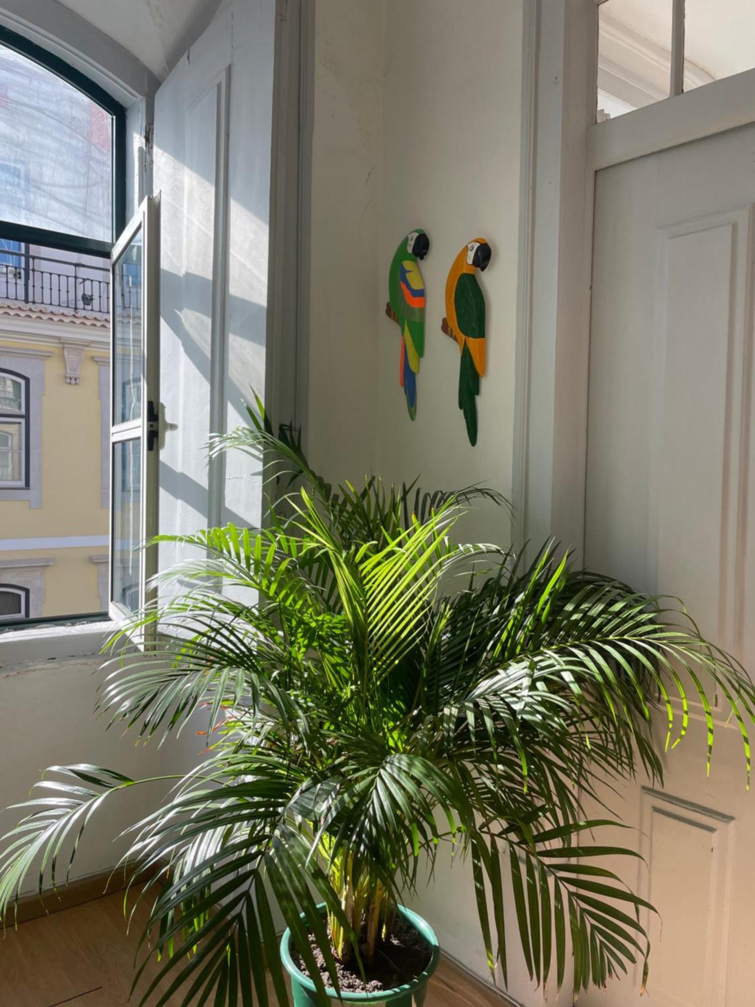 Chiado Home Lisboa Εξωτερικό φωτογραφία